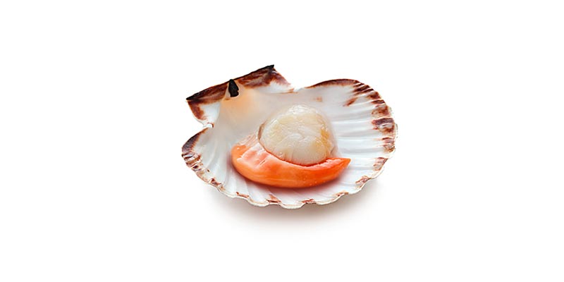 Coquilles Saint Jacques Aqualabel Label Rouge For Seafood Products